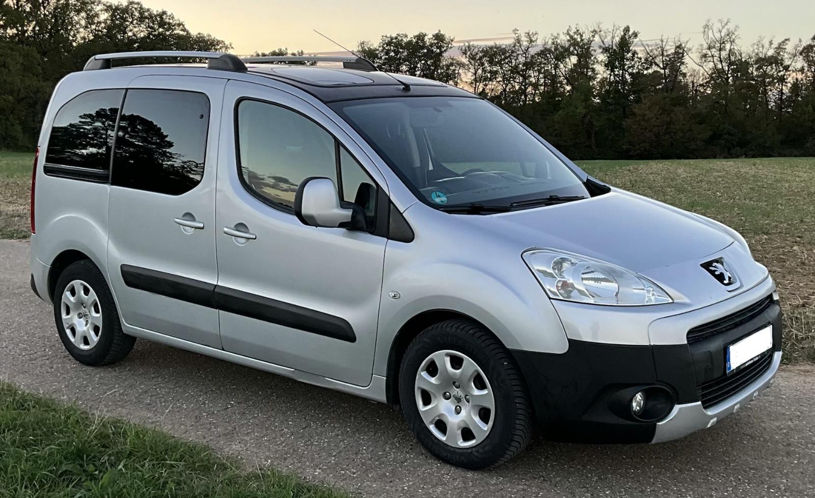 Peugeot Partner, 2010