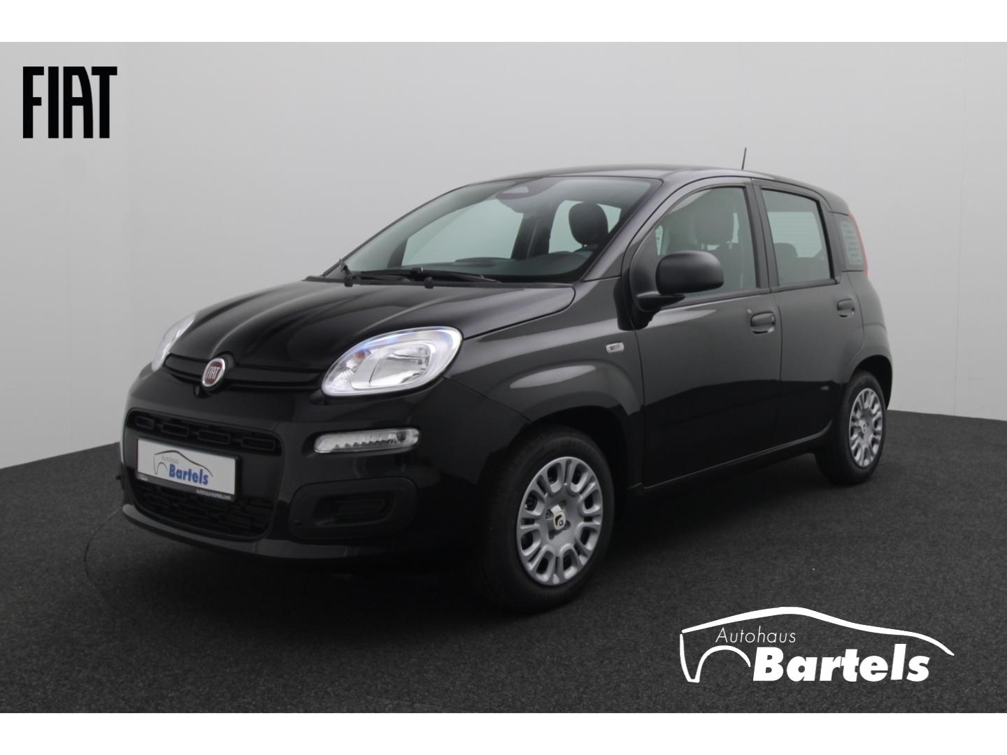 Fiat Panda PANDINA ICON 1.0 HYBRID 48 KW (65 PS)