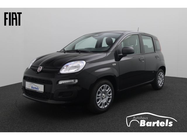 Fiat Panda PANDINA ICON 1.0 HYBRID 48 KW (65 PS)