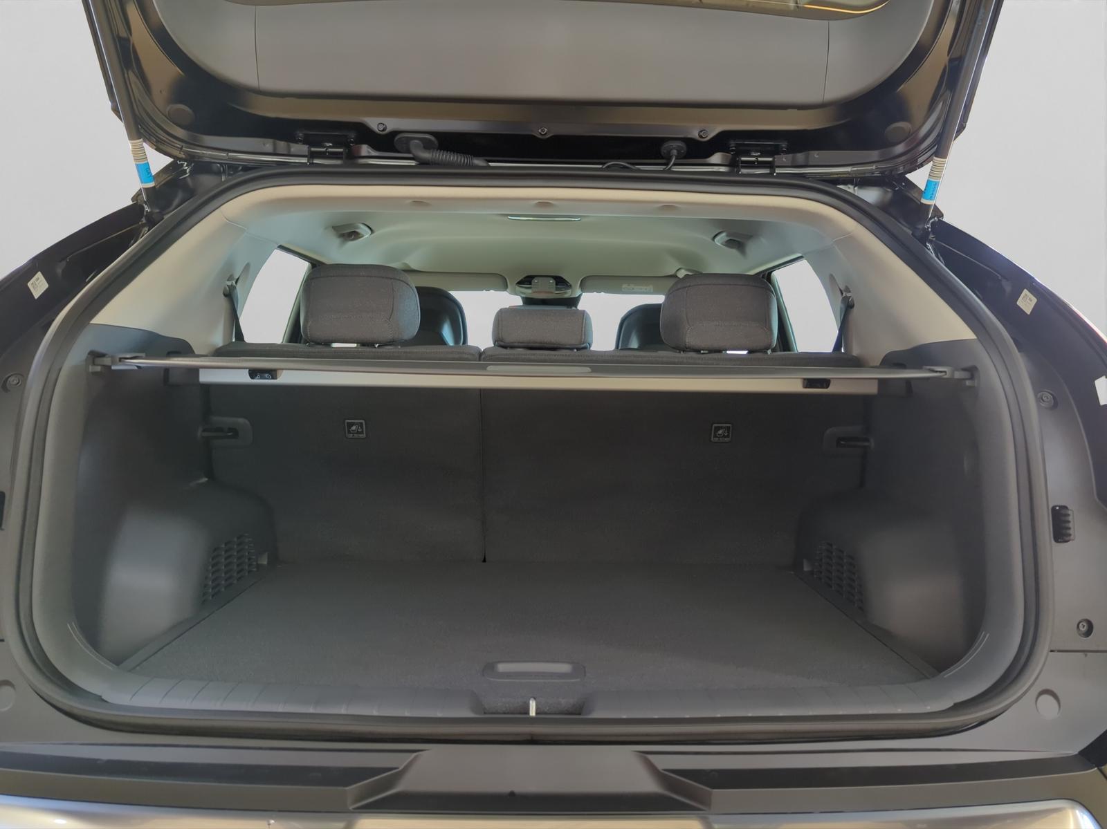Kia KIA EV3 EARTH 81.4 kWh WINTER-PAKET+NAVI+KAMERA+