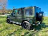 Mercedes-Benz G 500 Designo Oliv metallic,MB100 Garant, AMG V8 - : Grün, Metallic