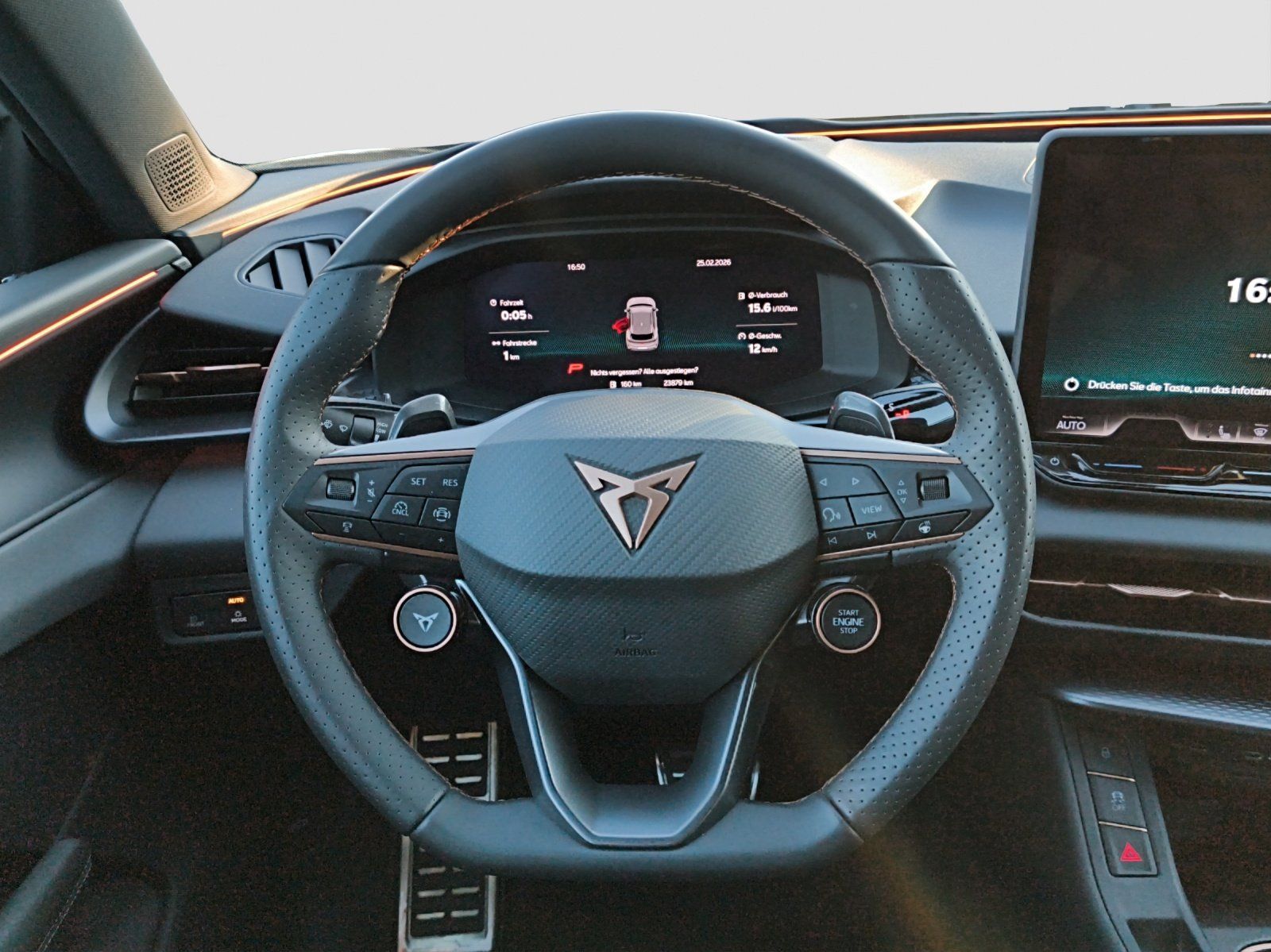 Cupra Terramar - Bild 13