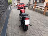 Triumph T120 Bonneville Bud Ekins  - TRIUMPH BONNEVILLE T120