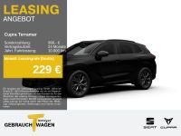 Cupra Terramar - Vorschau Bild 1