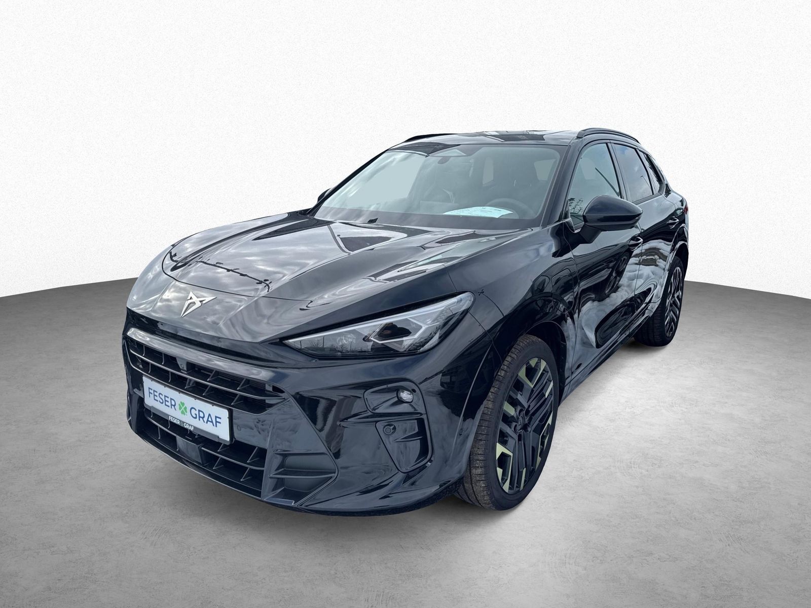 Cupra Terramar - Bild 11