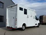 Renault Master 3-Sitzer Pferdetransporter - Tier-/Pferdetransport 3 pferde