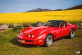 Corvette C3 - Corvette C3 mit Panoramadach