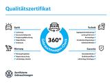 Volkswagen Golf ENERGY 2.0l TDI 150 PS DSG FAHRSCHULAUSSTAT - Volkswagen Golf Neuwagen mit Diesel-Antrieb: Limousine, 2.0