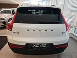 Volvo XC40 B3 Black Edition Plus Verfügbar 12.10.25 - Volvo XC40 in Chemnitz