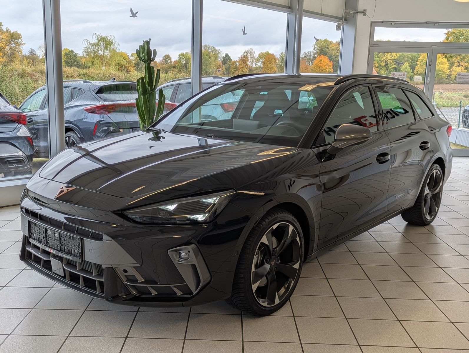 CUPRA Leon 2.0 TDI Intelligent-Dynamic-Edge-Pake Cam - Image 3