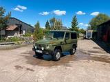 Mercedes-Benz Mercedes Benz G300 _ W463D _ LKW geschloss... - Mercedes-Benz G 300: D