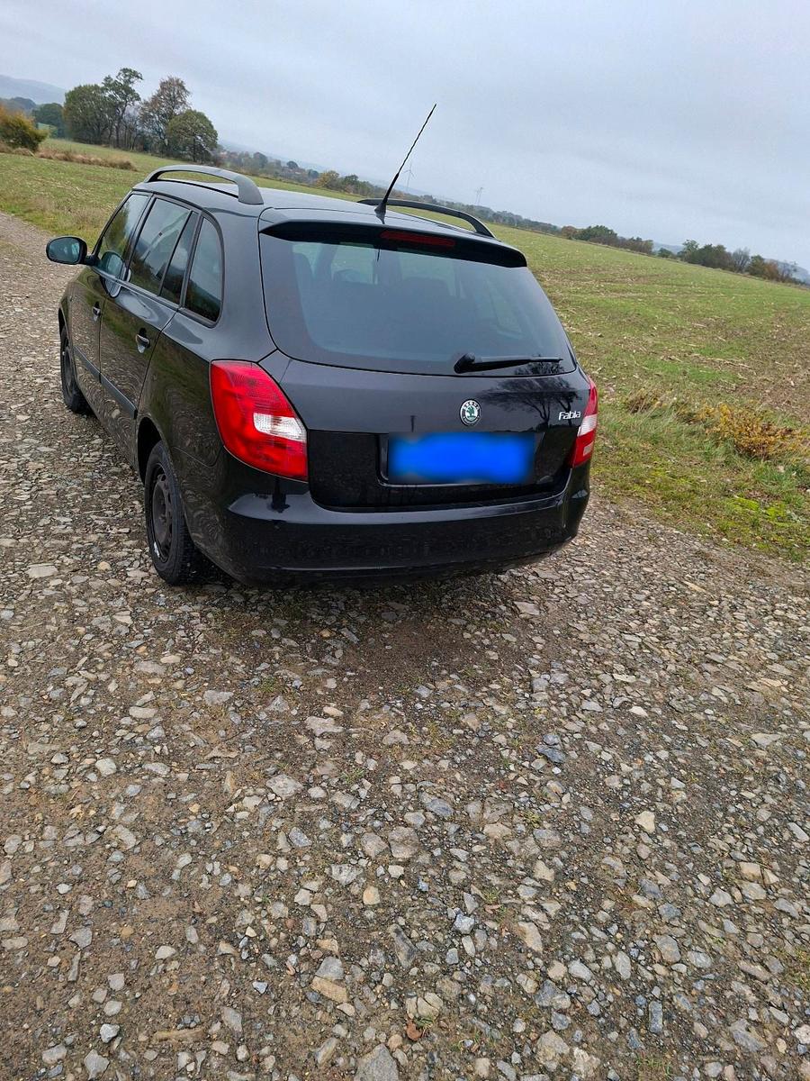 Skoda Fabia 2010 — двигун 69 HP (51kW)