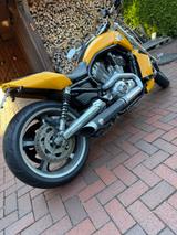 Harley-Davidson V-Rod VRSCF Muscle - HARLEY-DAVIDSON V ROD