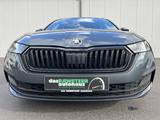 Skoda Octavia Combi 2.0 TDI DSG Sportline 177€ m. 20%  - Skoda Octavia: 20