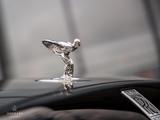 Rolls-Royce Spectre / Bespoke / PPF / Pinstripe / Starlight - gebrauchte Rolls-Royce Coupés