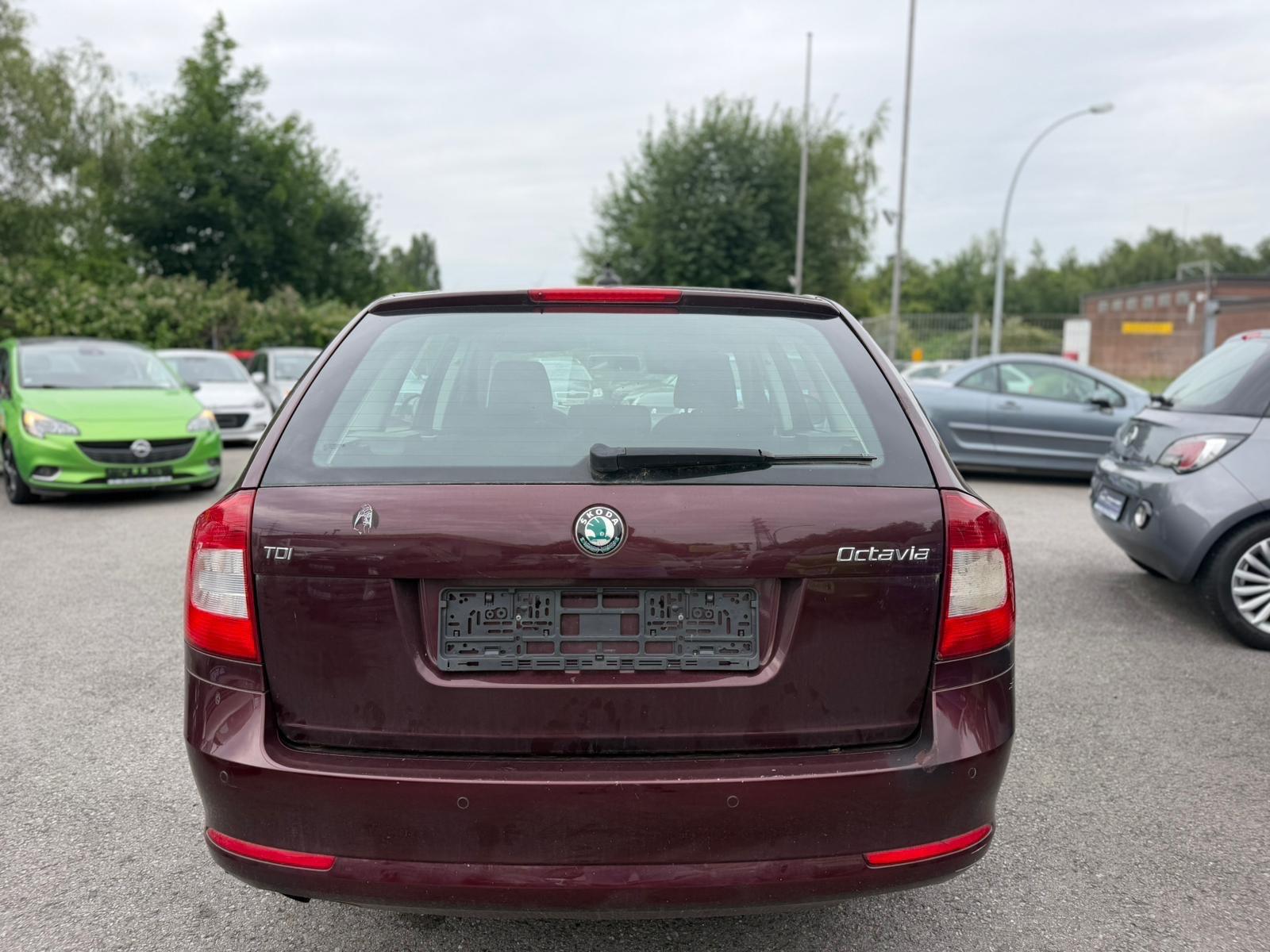 Skoda Octavia 2011 — photo 6