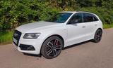 Audi SQ5 3.0 TDI plus tiptronic quattro - - Audi SQ5 Gebrauchtwagen in Stuttgart