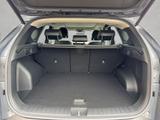 Hyundai TUCSON 1.6 T-GDi HEV 4WD Prime 132 kW, 5-türig - Hyundai TUCSON Gebrauchtwagen in Frankfurt