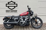 Harley-Davidson Sportster Nightster 975 RH975 "Tageszulassung" - Offers matching your search criteria