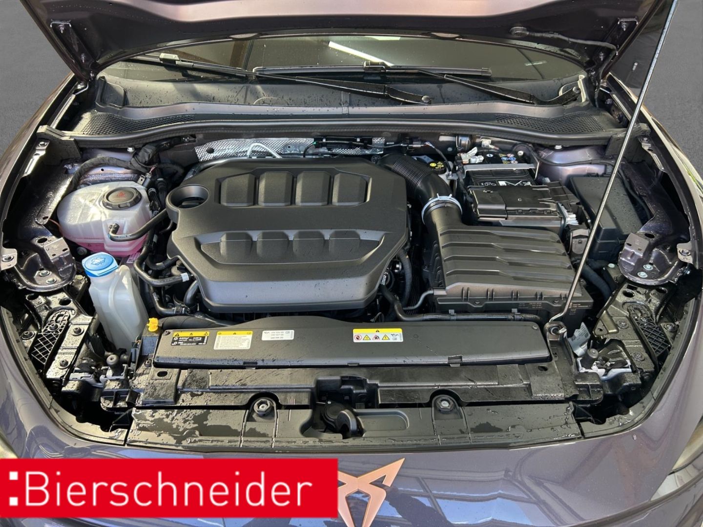 Cupra Leon - Bild 25