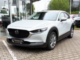 Mazda CX-30 2.5 M Hybrid Takumi Leder - Mazda CX-30: Takumi
