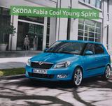 Skoda Fabia Cool Young Spirit, 63 kw, 103.... - Skoda Fabia 6Y mit Benzin-Antrieb