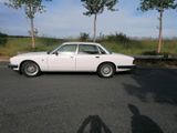 Jaguar jaguar xj 40 Sovereign - Jaguar XJ40 Gebrauchtwagen