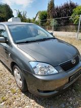 Toyota Corolla - Toyota Corolla: Sportwagen