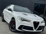 Alfa Romeo Stelvio 2.9 V6 Quadrifoglio Q4*Keramik*Panorama* - Alfa Romeo Stelvio: Quadrifoglio