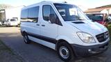 Mercedes-Benz Sprinter II Kasten 310/311/313/314/316 CDI - Mercedes-Benz Sprinter aus 2010: Van
