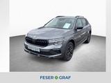 Skoda Kamiq Selection