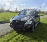 Mercedes-Benz ML 350 CDI 4MATIC - - Mercedes-Benz ML 350 in Essen