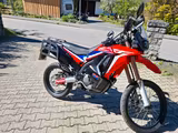 Honda CRF 250 RLA Rally - HONDA 250