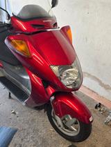 Honda Foresight FES 250 MF04 - Angebote