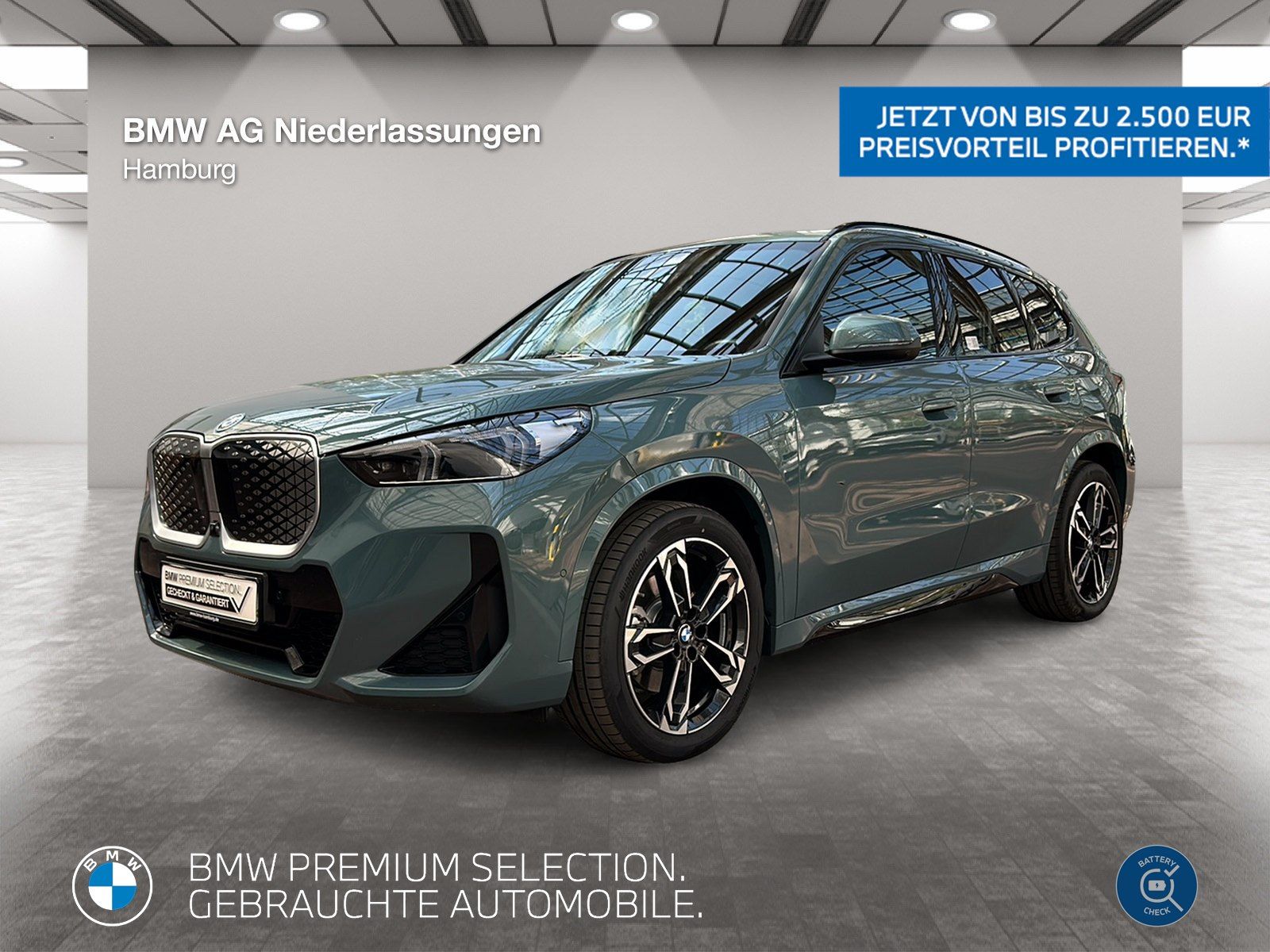 BMW iX1 xDrive30 M Sport AHK Driv.Assist.Prof LED