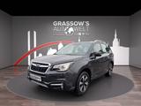 Subaru Forester 2.0 AWD CVT AHK/SHZ/GJR/NAVI/LED - Subaru: Awd