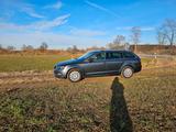 Skoda Škoda Octavia Combi 1.5 TSI (150 PS)  EZ 04/201 - Skoda Octavia: 2.5