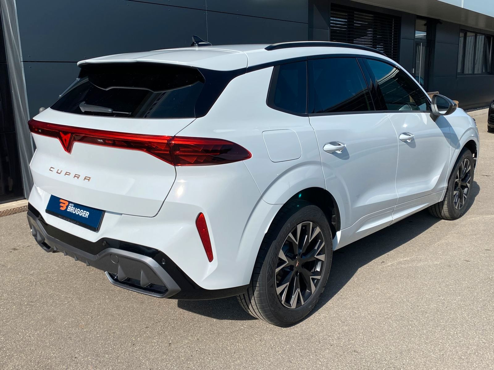 Cupra Terramar - Bild 6