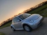 Volkswagen VW Beetle 1.6L - gebrauchte Volkswagen Beetle aus dem Jahr 2001