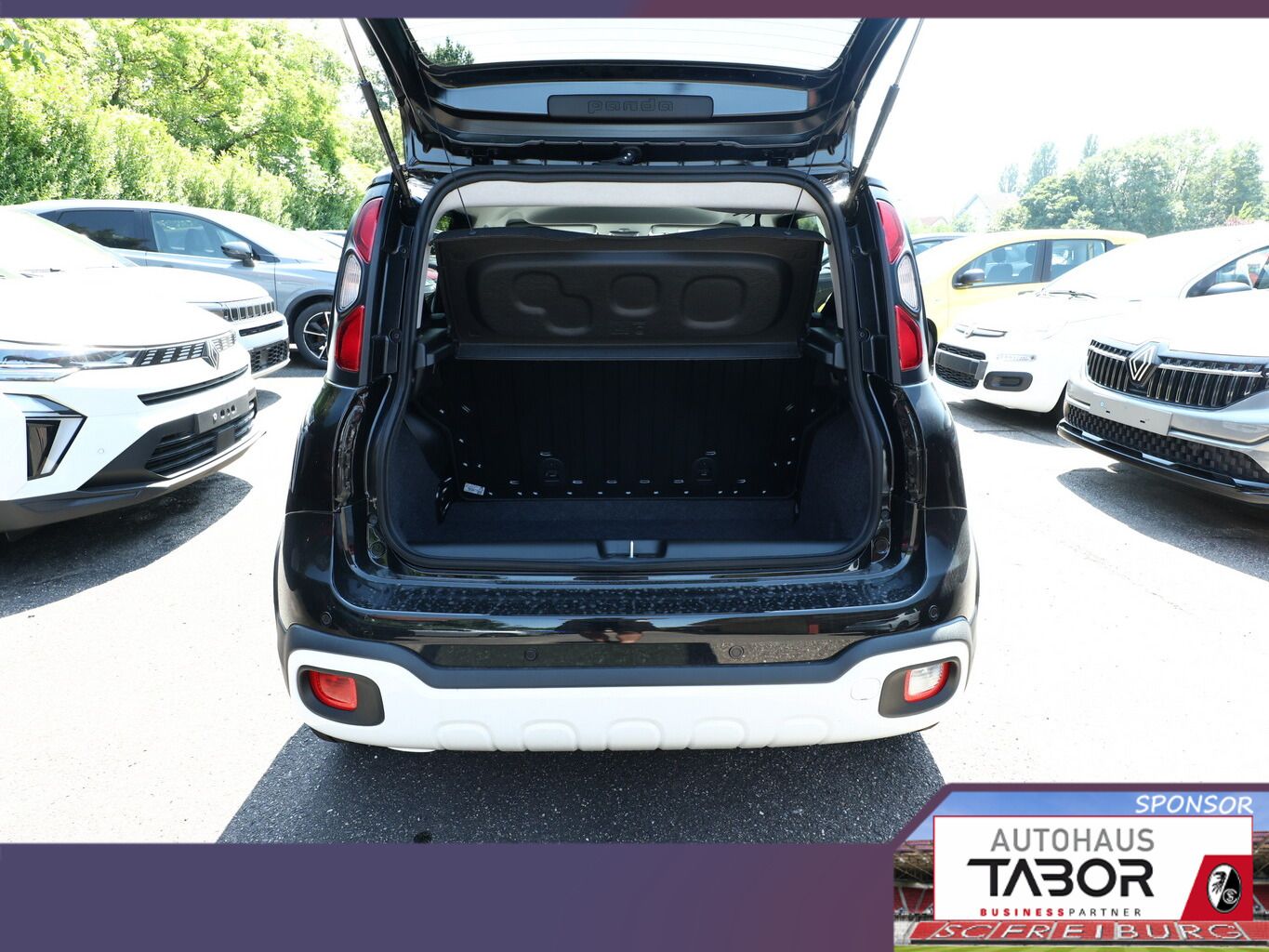 Fiat Panda - Bild 11