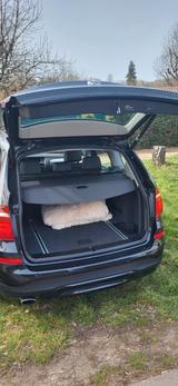 BMW X3 xDrive20d M SPORT AT M SPORT - BMW X3: At
