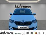 Skoda Fabia Best of Clever Nav RFK PDCvh LED Apps - Skoda Fabia: Clever Best Of