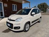 Fiat FIAT Panda 1.2 Fire 69cv NEOPAT. GARANTITA - Fiat Panda: Fire