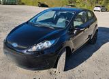 Ford Fiesta 1,25 60kW Trend  - Ford Fiesta aus 2009: 1.6