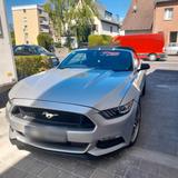 Ford Mustang  3.7 - Ford Mustang in Leverkusen