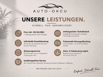 Volkswagen Beetle - 5