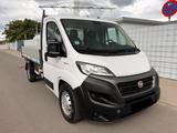 Fiat Ducato Maxi Pritsche 3-Seiten Kipper 35 140 L2 - Fiat Ducato: 14