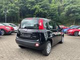 Fiat Pandina 1.0 Icon Bluetooth 5''Radio PDC - schwarze Fiat New Panda