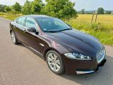 Jaguar XF 3.0 L V6 Diesel - Schiebedach  - Jaguar XF aus 2015