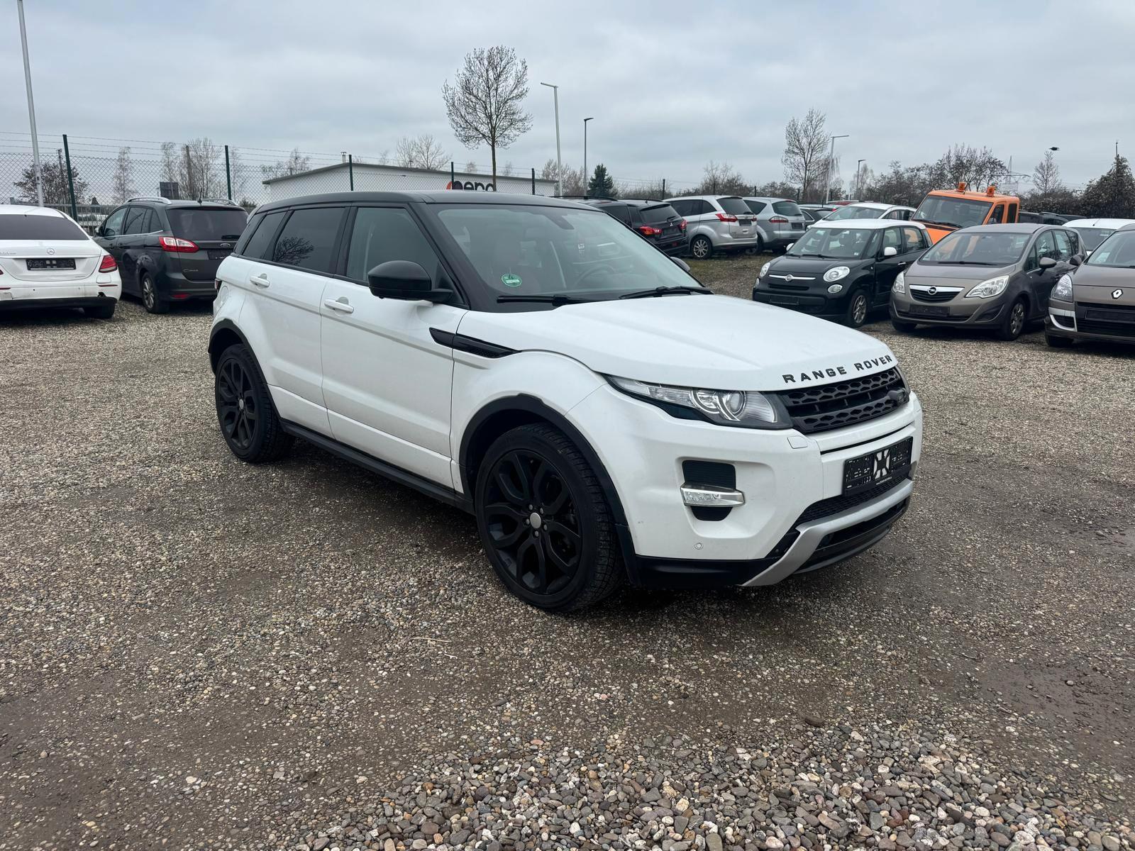 Land Rover Range Rover Evoque Dynamic Aut.Leder Navi P-dach